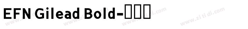EFN Gilead Bold字体转换